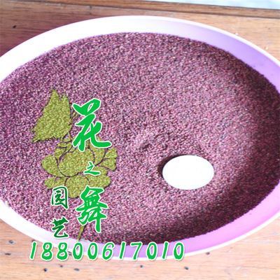 種子系列 廠家直銷 批發(fā)蛇莓種子 當(dāng)年采 量大優(yōu)惠 發(fā)芽率高 蛇莓種子價(jià)格圖片|種子系列 廠家直銷 批發(fā)蛇莓種子 當(dāng)年采 量大優(yōu)惠 發(fā)芽率高 蛇莓種子價(jià)格產(chǎn)品圖片由沭陽縣花之舞綠化苗木場(chǎng)公司生產(chǎn)提供-