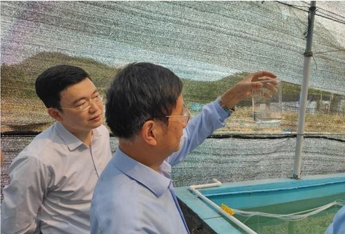 紅九棘鱸苗種批量化培育項目通過現場驗收