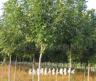 供應(yīng)電線電纜填充用高檔麻線_紡織、皮革_世界工廠網(wǎng)中國產(chǎn)品信息庫