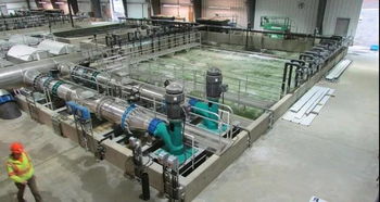 資深外企如何看中國水產養殖業轉型 biomar副總裁退休有感